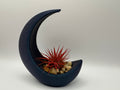 Crescent Moon Air Plant Holder