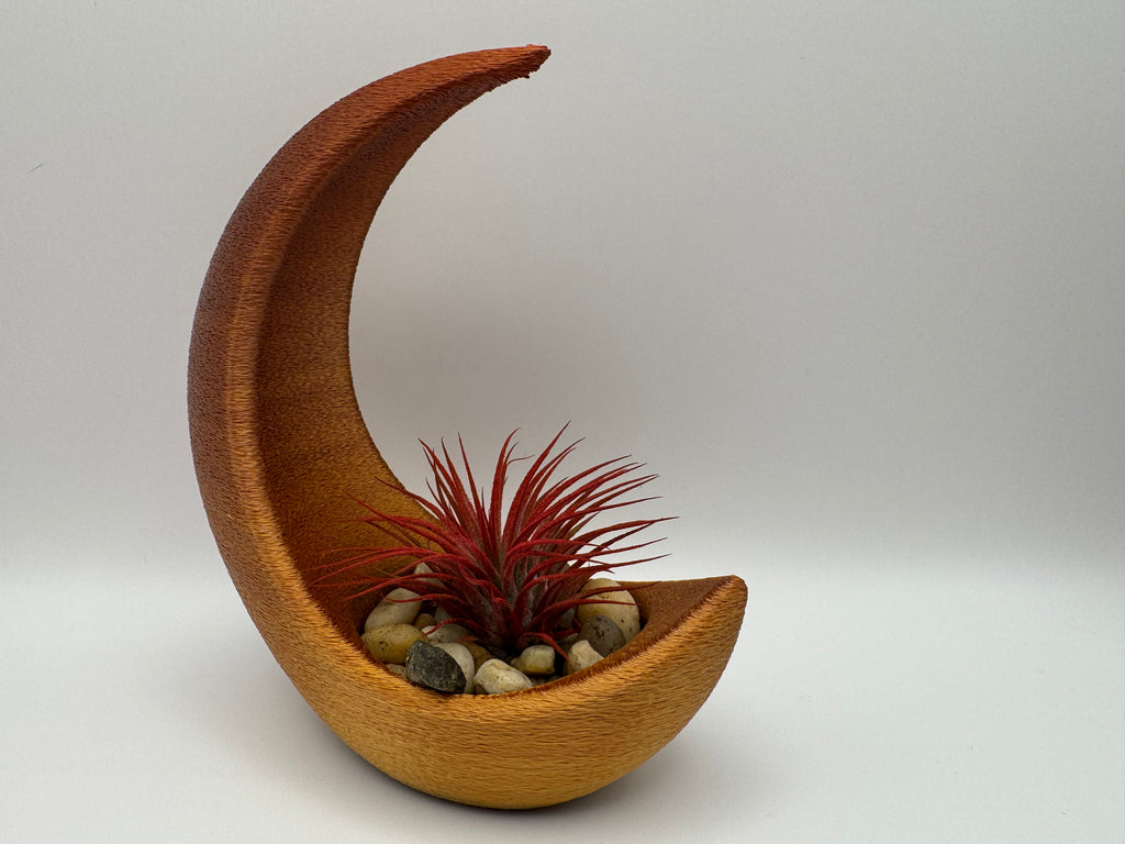 Crescent Moon Air Plant Holder
